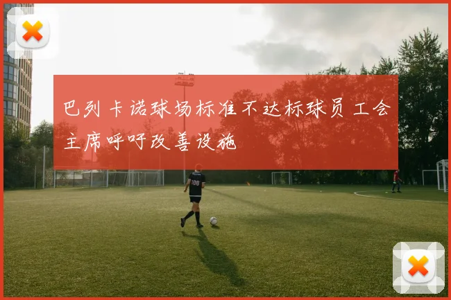 巴列卡诺球场标准不达标球员工会主席呼吁改善设施
