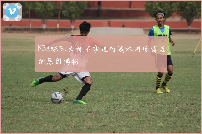 NBA球队为何不常进行战术训练背后的原因揭秘